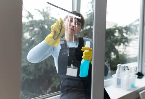 Nettoyage de vitres intérieures et extérieures à Trouy